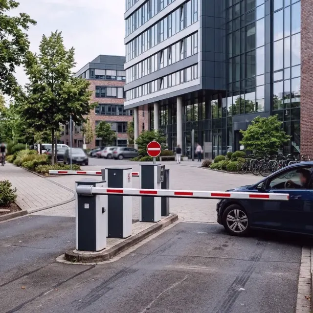 Vogel Bank — Unsere Arbeit in Bildern 5